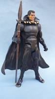 Marvel Universe Classics Black Panther (DC Universe) Custom Action Figure
