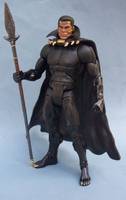 Marvel Universe Classics Black Panther (DC Universe) Custom Action Figure
