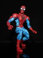 Spiderman (Marvel Legends) Custom Action Figure