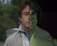 The Incredible Hulk (Lou Ferrigno) V2 (Incredible Hulk) Custom Action Figure