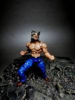Wolverine the End (Marvel Universe) Custom Action Figure