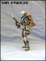 Mr Freeze (Batman) Custom Action Figure