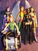 Shayera Hol 'Hawkgirl' (Version 2) (DC Universe) Custom Action Figure