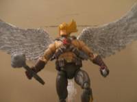 Rann Thannagar War Hawkman (DC Universe) Custom Action Figure