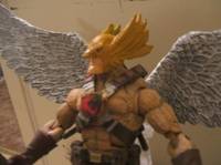 Rann Thannagar War Hawkman (DC Universe) Custom Action Figure