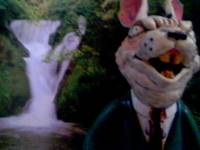 Mr. Whiskers (Fantasy) Custom Action Figure