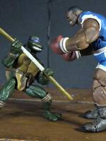 Teenage Mutant Ninja Turtles (Teenage Mutant Ninja Turtles) Custom Action Figure