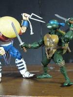 Teenage Mutant Ninja Turtles (Teenage Mutant Ninja Turtles) Custom Action Figure