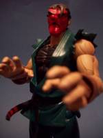 Go Hibiki (Street Fighter) Custom Action Figure