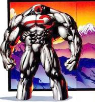 Fuji (DC Universe) Custom Action Figure