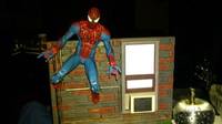 The Amazing Spider-Man (Spider-Man) Custom Action Figure