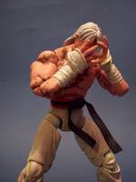 Kairi (Street Fighter) Custom Action Figure