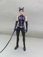 Catwoman (TDKR Concept) (Batman - Movie Style) Custom Action Figure