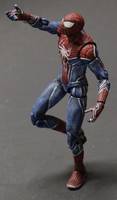 The Amazing Spider-Man (Spider-Man - Movie) Custom Action Figure
