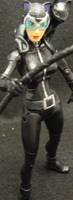 Catwoman (DC Universe) Custom Action Figure