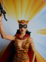 Tigress (Paula Brooks) (DC Universe) Custom Action Figure