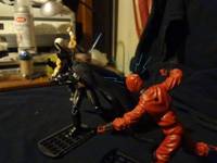 Batman (Arkham City) (Batman - Arkham City) Custom Action Figure