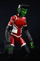 Young Justice Beast Boy Custom Figure (Young Justice) Custom Action Figure