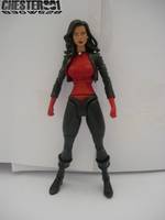 B3gw528 LOA/SOS Lady Shiva (Batman) Custom Action Figure