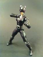 Catwoman (DC Infinite Heroes) Custom Action Figure