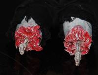 Zombie Joe (the Ultra Corpes) (Zombies) Custom Action Figure