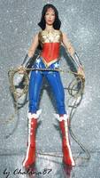 Injustice Wonder Woman (Wonder Woman) Custom Action Figure
