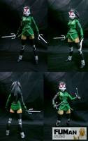DC Young Justice Animated Cheshire (DC Universe) Custom Action Figure