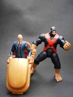 Beast X-Factor (Marvel Universe) Custom Action Figure