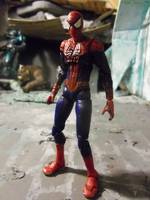 Amazing Spider-Man (Marvel Universe) Custom Action Figure