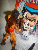 Unmasked Wolverine (Brown Suit) (X-Men) Custom Action Figure