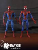 Spider-Man (Marvel Legends) Custom Action Figure