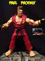 Tekken Paul Phoenix (Tekken) Custom Action Figure