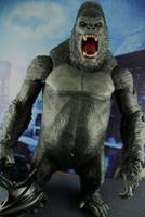 Gorilla Grodd (DC Universe) Custom Action Figure