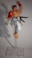 RYU Alternative (Street Fighter) Custom Action Figure