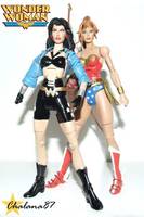 Wonder Woman in the 90's Diana Prince (Wonder Woman) Custom Action Figure