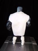 Strata L.E.G.I.O.N Custom (DC Universe) Custom Action Figure