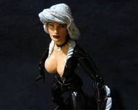 BLACK CAT (Unmasked) (Marvel Legends) Custom Action Figure
