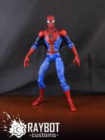 Spider-Man (Marvel Legends) Custom Action Figure