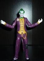 Joker Arkham Asylum (Batman) Custom Action Figure