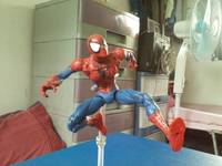 Amazing Spider-Man (Spider-Man) Custom Action Figure