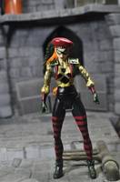 Squire (DC Universe) Custom Action Figure
