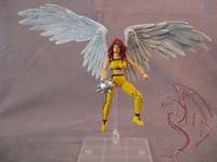 Shayera Hol (DC Infinite Heroes) Custom Action Figure