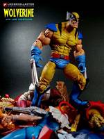 Tiger Stripe Wolverine (Marvel Legends) Custom Action Figure