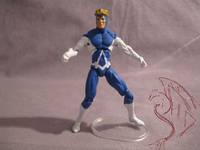 Animal Man (DC Infinite Heroes) Custom Action Figure