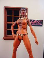 Vixen (Jlu Style) (DC Universe) Custom Action Figure