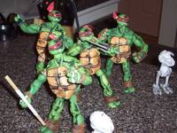 Tmnt (Teenage Mutant Ninja Turtles) Custom Action Figure