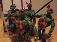 Tmnt (Teenage Mutant Ninja Turtles) Custom Action Figure