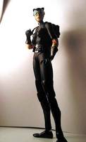 Cat-Woman (Batman) Custom Action Figure