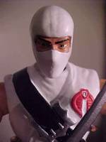 Storm Shadow (G.I. Joe) Custom Action Figure