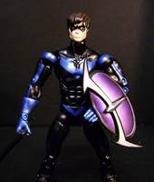 Nightwing (Batman) Custom Action Figure